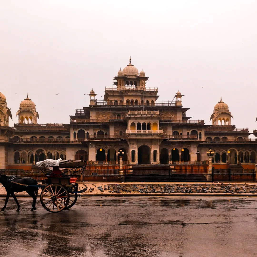 travel packages srh tour & travel