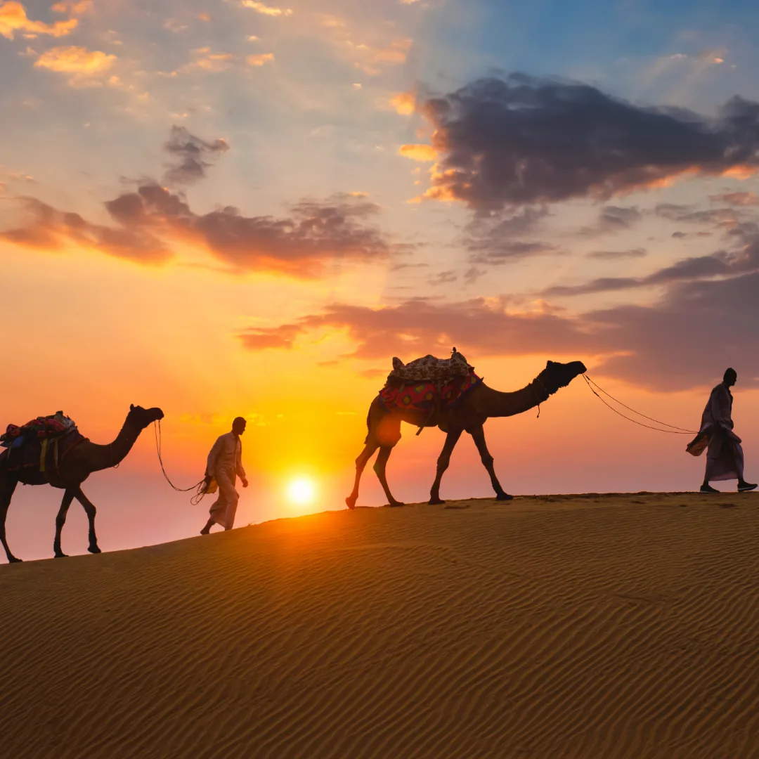 travel packages srh tour & travel